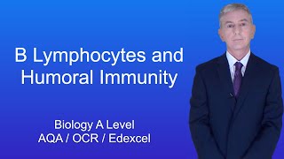 A Level Biology Revision quotB Lymphocytes and Humoral Immunityquot [upl. by Ekud]