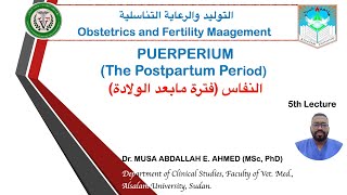 lecture 5 PUERPERIUM Postpartum Period Obstetrics and Fertility Management Course Alsalam Uni [upl. by Yssenhguahs33]