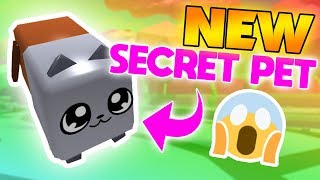 YOU CAN GET DOGCAT NEW SECRET PET  ROBLOX Bubble Gum Simulator [upl. by Letisha429]