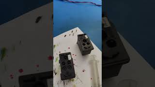 Canon G3020 amp Epson L3210 printer repair Hindi song Hindi viral reels song song music bollywood [upl. by Nohsram274]