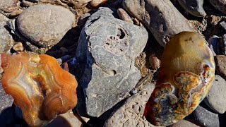 Top Notch Agate Jasper and Marine Fossil Collecting rockhounding [upl. by Huff]