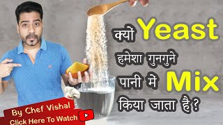 क्यों Yeast को गुनगुने पानी में मिलाना जरुरी है  Science Behind mixing Yeast with Luke Warm Water [upl. by Carolina]