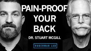 Dr Stuart McGill Build a Strong PainProof Back [upl. by Vincenty601]