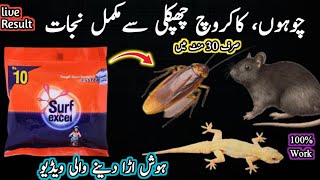 Get rid of rats Mosquito cockroach lizard with homemade spraypowerful insects killer remedy🙄 [upl. by Ayanej266]