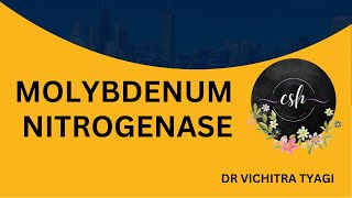 STRUCTURE OF MOLYBDENUM NITROGENASE [upl. by Ninaj]