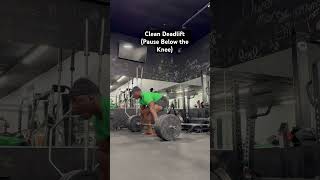 Clean Deadlift  Pause Below Knee deadlift olympicweightlifting [upl. by Assirehc]