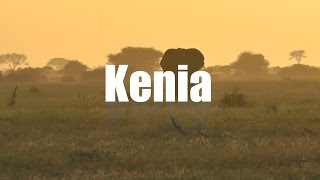 Kenia Safari [upl. by Aiouqes]