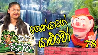 ශෙන්යගේ යාළුවෝ Katha Pituwa 78  kids storytime  sinhala storytime  lama katha  KidsTV [upl. by Nikolaus423]