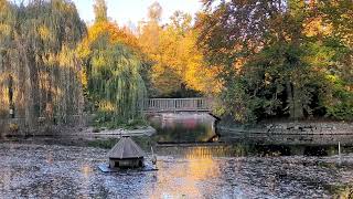 Stadtpark Steglitz  BerlinSteglitz [upl. by Rifkin280]