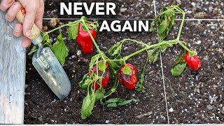 Here’s Why You Should NEVER Plant Peppers in Your Garden [upl. by Oetsira]