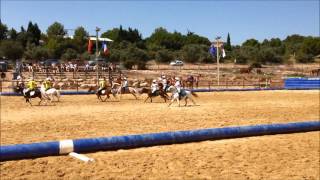 Tournoi international Horse Ball ESGO 2015  Poussins ElfesCatalogne [upl. by Ardnuaek]