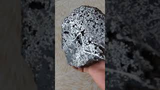 Mesosiderite Meteorite NWA 2924 Pairing [upl. by Ahsya]