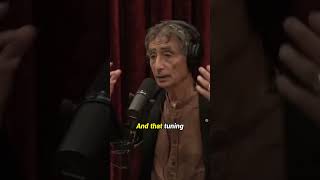 How Your Stress Affects Your Childs Brain  Dr Gabor Maté [upl. by Austin]