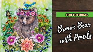 colouring in brown bear 🐻 \ fur colouring with polychromos 🖍️✨ [upl. by Nauq268]