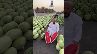 VERY Big WATERMELON 🍉🍉🍉🍉🍉😱😱😱😱🍉🍉 reggaeton musica viralvideo watermelon shorts lyrics music [upl. by Olodort]