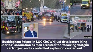 Buckingham Palace Lockdown Queen Elizabeth II Burger King Real Crown Intruders P3 Princess Anne [upl. by Etterual]