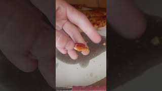 The smallest piece of pizza youll ever see that is fairly possible by everyman standards food [upl. by Frants]