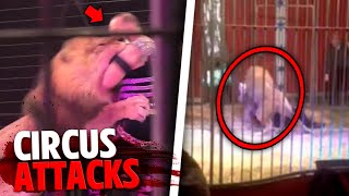 These 3 People Were RIPPED APART By Deadly Circus Animals [upl. by Ummersen]