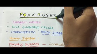 Poxviruses  Microbiology  Handwritten notes [upl. by Gregson406]