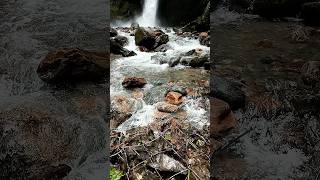 Khangchendzonga water falls Yuksam nature waterfalls [upl. by Lehcnom]