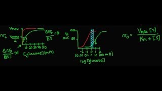 Enzyme Regulation [upl. by Etnecniv]