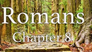 a NLT reading Romans chapter 8 [upl. by Weatherby]