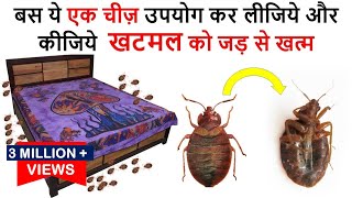 एक ही बार में जड़ से ख़त्म करे खटमल को इस अचूक उपाय से How To Get Rid of Bed Bugs bed bugs खटमल [upl. by Azmah47]