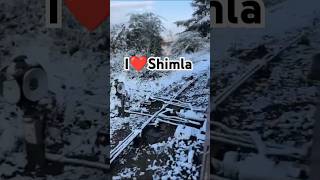 snow snowfall shimla himachal ❤️🌨️⛄ [upl. by Lowndes776]