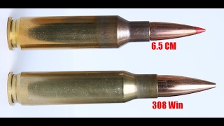 Can The 65 Creedmoor Replace the 308 Win As A SHTF Cartridge [upl. by Hoy]