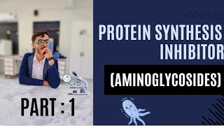 Aminoglycoside and its classification part 1 detail leacture pharmacology lippincott [upl. by Adnwahs]