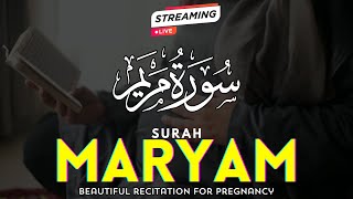 Surah Maryam For Pregnancy Beautiful Recitation For a Beautiful Baby And Smart Baby  سورۃ مریم [upl. by Barbee]