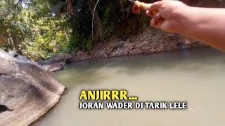 Mancing wader jekpot lele manyos [upl. by Yrtua903]