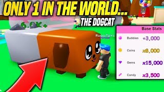 ONLY ONE PERSON IN THE WORLD HAS THE DOGCAT IN BUBBLE GUM SIMULATOR Roblox [upl. by Thenna]