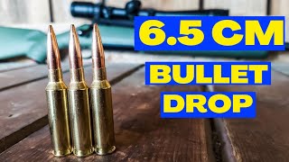 65 Creedmoor  Bullet Drop Demonstrated and Explained [upl. by Clementis]