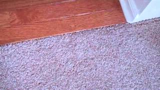 Installing Hardwood Flooring  Part 4 [upl. by Timus]