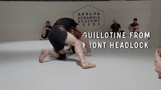 Knee Cut to Guillotine [upl. by Betty]