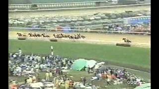 1994 Kentucky Derby  Go For Gin [upl. by Okiek259]