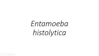 Entamoeba histolytica  Parasitology [upl. by Gristede]