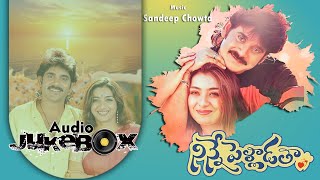 Ninne Pelladatha Telugu Songs Jukebox  Nagarjuna Tabu  Sandeep Chowta  ilovesongs90s [upl. by Gahl798]