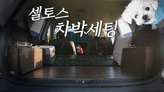 ep11 셀토스 삼패공원 카크닉  스텔스 차박  차박셋팅 [upl. by Roon428]