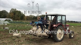 de Plukheyde  CSA boerderij in Kampenhout [upl. by Pattani544]