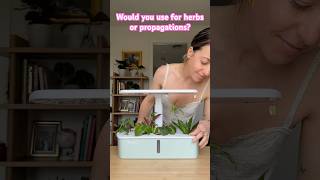 Hydro planter propagation hack No more rotted plant cuttings hydroplant [upl. by Bracci]