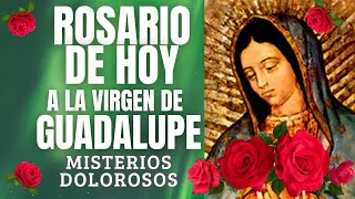 ROSARIO DE HOY MARTES 09 DE JULIO 2024 A LA VIRGEN DE GUADALUPE MISTERIOS DOLOROSOS [upl. by Eidroj182]