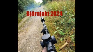 Björnjakt 2024 [upl. by Deeanne660]