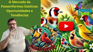 LIVE 3  O Mercado de Passeriformes Exóticos Oportunidades e Tendências [upl. by Wilhelm]