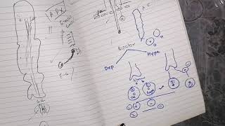 Function of Horizontal bipolar amacrine ganglionic cells guyton 51 last part 8 [upl. by Nahaj228]