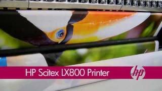 HP Scitex LX800 [upl. by Vogeley824]