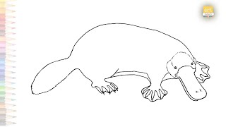 Platypus drawing easy 06  Outline sketches  How to draw A Platypus step by step simply artjanag [upl. by Sigfrid]