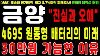 금양 주가전망🔴류회장 매각설 찌라시에 속지마세요 4695 원통형배터리의 미래와 30만원이 가능한이유 금양 금양주가전망 금양주식전망 [upl. by Hedley]