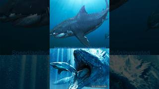 Megalodon vs mosasaurus and livyatan [upl. by Ariet]